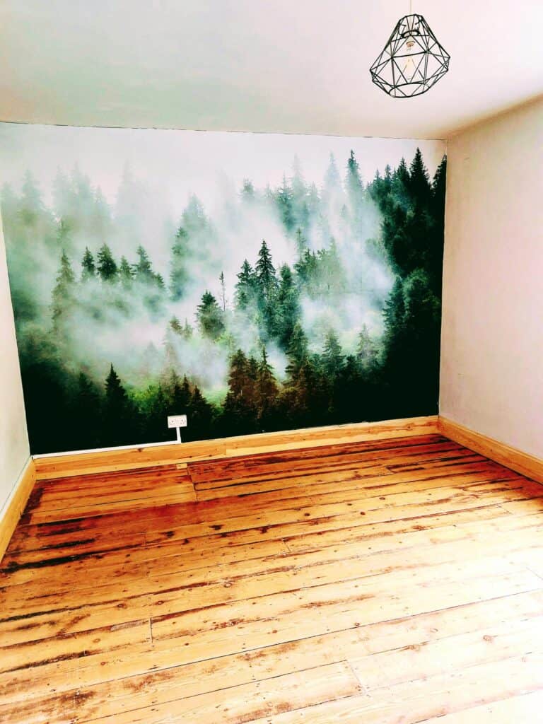 Photo-Room-3-a